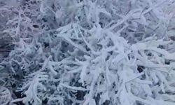 Elazığ Baskil’de kar yağışı etkili oldu