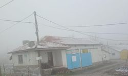 Eskişehir’de sis ve don olayı etkili oldu
