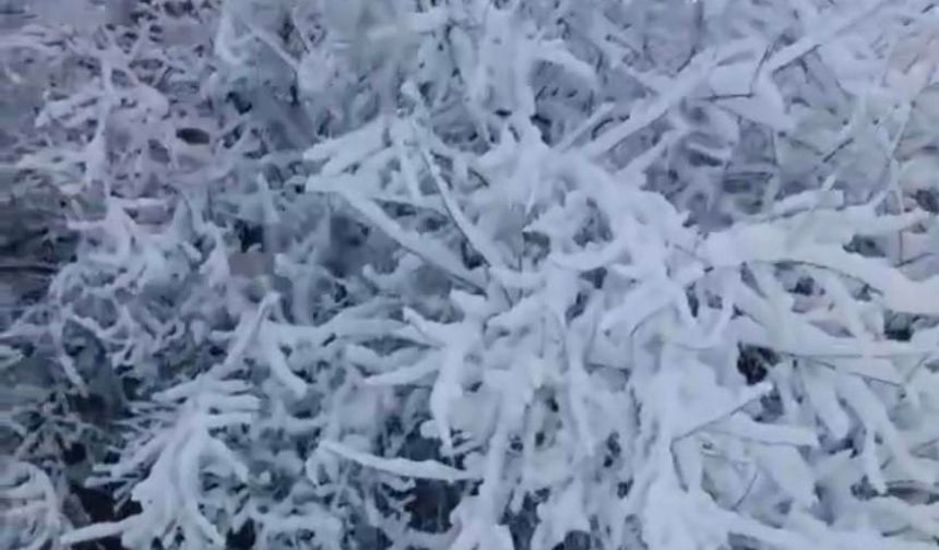 Elazığ Baskil’de kar yağışı etkili oldu